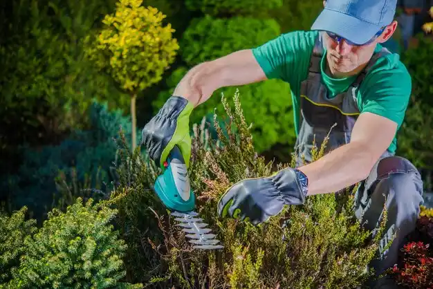 landscaping services Laplace